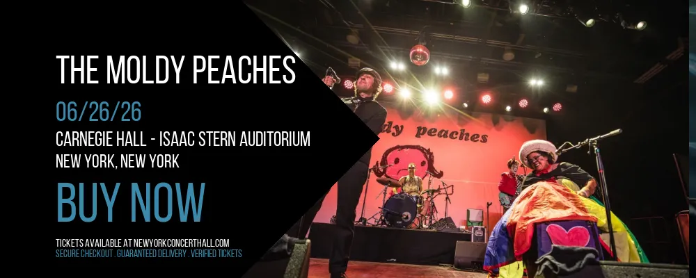 The Moldy Peaches at Carnegie Hall - Isaac Stern Auditorium